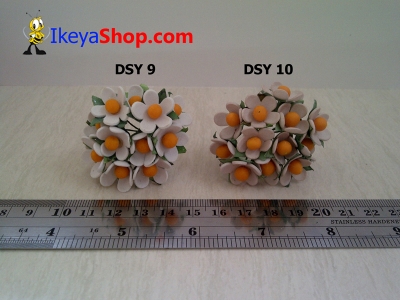 DSY 9 10  large2